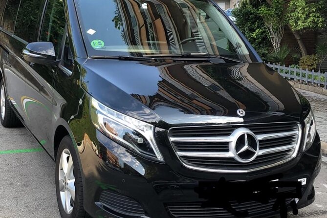 Private Transfer From Barcelona Cruise Port to Barcelona Airport - Infant Seats and Public Transportation