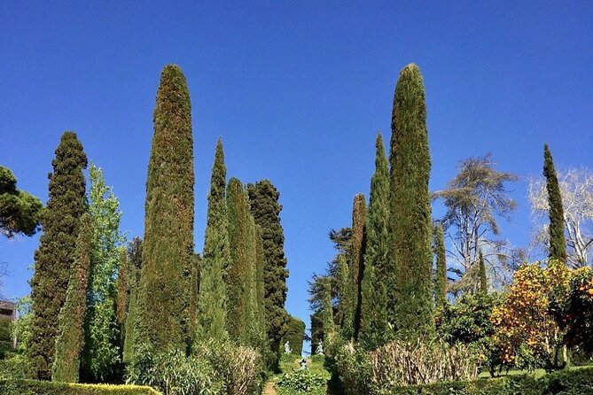 Private Transfer From Barcelona to Lloret De Mar - Meeting and Pickup Options