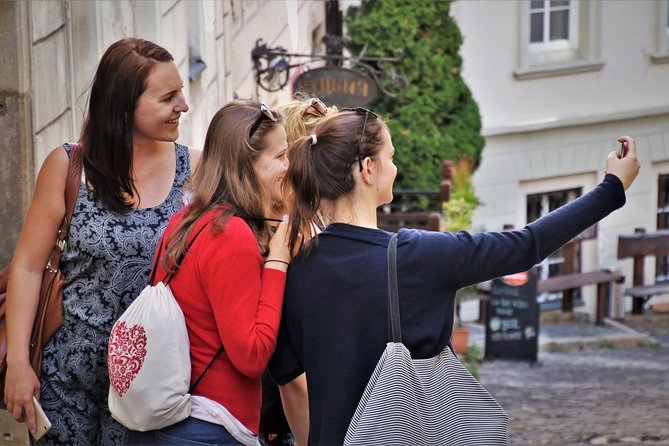 Private Transfer From Berlin to Prague With Stops at Potsdam Sanssouci Palace - Infant Seats and Accessibility