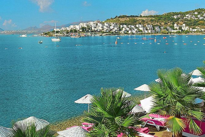 Private Transfer From Bodrum Airport to Central Bodrum or Bodrum Peninsula Hotel - Overview of the Private Transfer Service