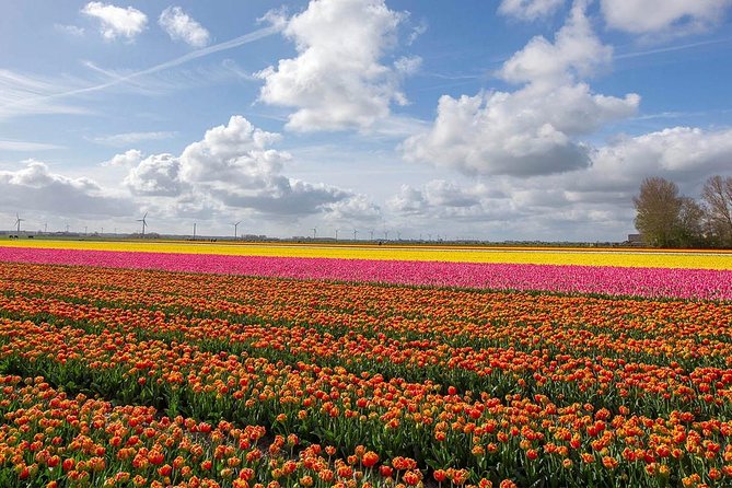 Private Transfer From Brussels to Amsterdam - Top Attractions Along the Route
