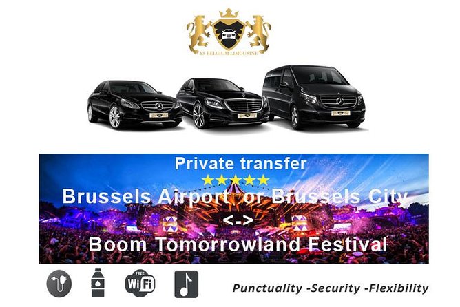 Private Transfer From Brussels to Tomorrowland Dreamville by Luxury Car - Benefits of Private Transfer