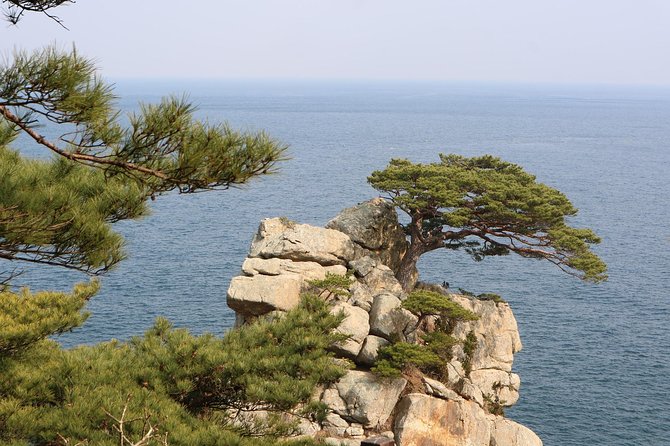 Private Transfer From Budva to Split, Hotel-To-Hotel, English-Speaking Driver - Pickup and Drop-off