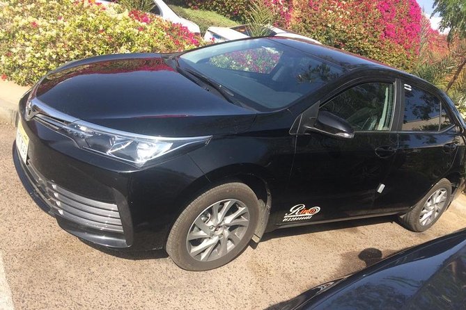Private Transfer From Cairo Airport - Statistics and Additional Information