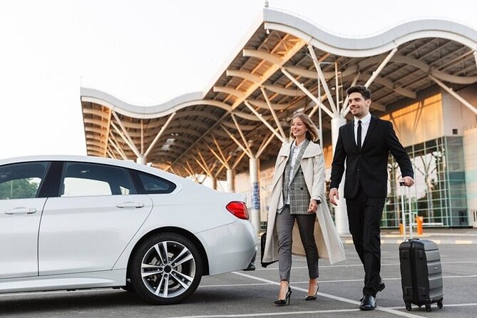 Private Transfer From Cairo Airport to Cairo or Giza - Accessibility and Safety