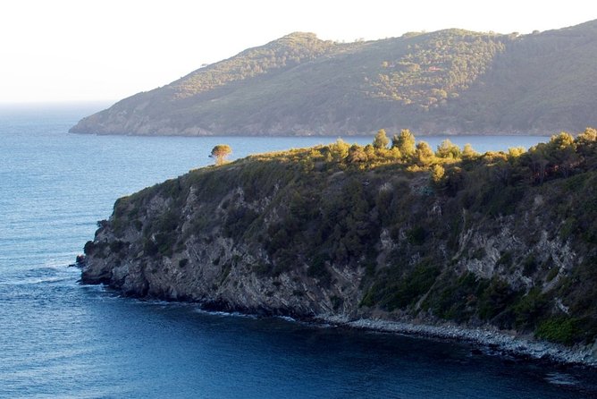 Private Transfer From Capoliveri to Marina Di Campo (Eba) Airport - Additional Info
