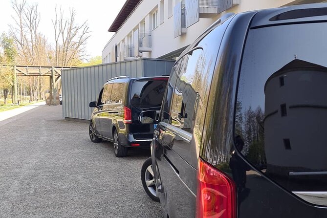 Private Transfer From Cdg/Orly/Lbg Airport to Disneyland (Van 7 Pax) - Meeting and Pickup Information