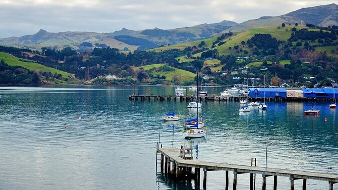 Private Transfer From Christchurch Airport (Chc) to Akaroa Port - What To Expect