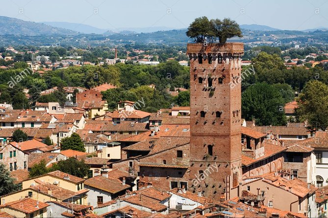 PRIVATE TRANSFER: From Cinque Terre to Florence With Stops in Lucca & Pisa - Good To Know