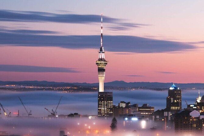 Private Transfer From Cruise Ship To Auckland CBD Hotels - Why Choose This Auckland Cruise Port Transfer?