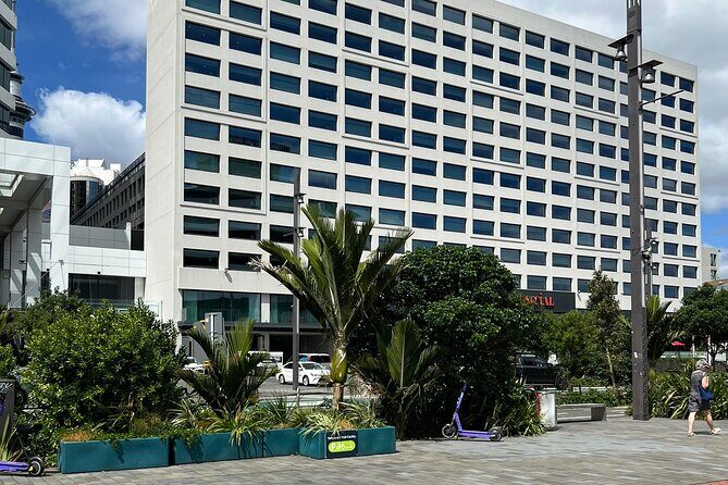 Private Transfer From Cruise Ship To Auckland CBD Hotels - Practical Details You Should Know