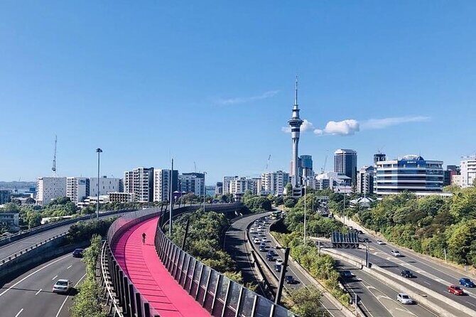 Private Transfer From Cruise Ship To Auckland CBD Hotels - FAQs