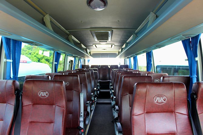 Private Transfer From Denarau Hotels/Double-Tree Fiji to Nadi Airport - Reviews