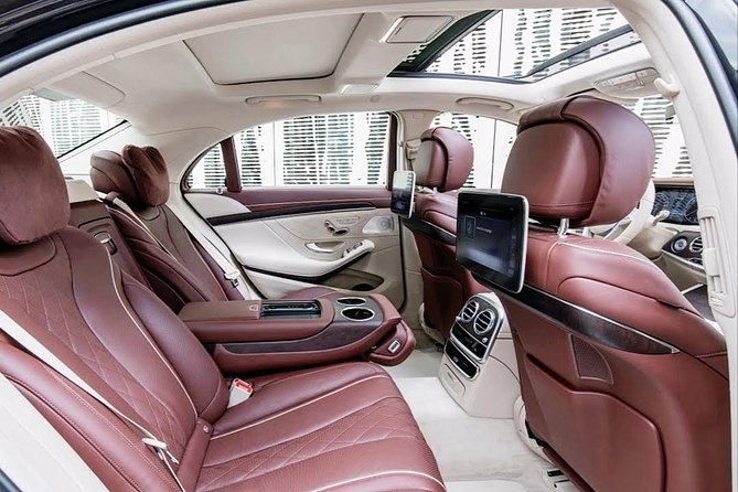 Private Transfer From Disneyland Paris to Paris City by Luxury Car - Accessibility and Luggage Restrictions