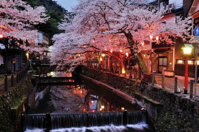 Private Transfer From Downtown Tokyo to Hakone - Experience Benefits