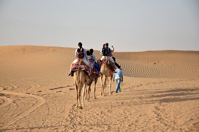Private Transfer From Dubai to Abu Dhabi - Vehicle Amenities