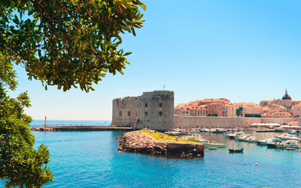 Private Transfer From Dubrovnik Airport to Dubrovnik - Agency Experience and Trustworthiness