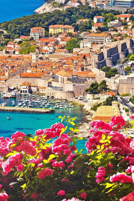 Private Transfer From Dubrovnik Airport to Medjugorje - Driver Qualifications