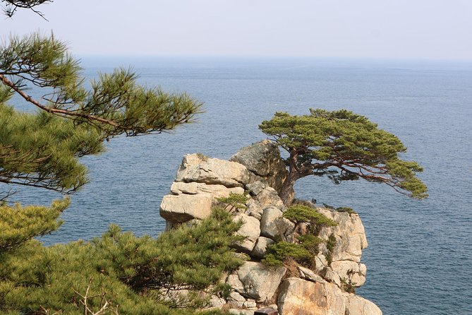 Private Transfer From Dubrovnik to Split, English-Speaking Driver - Meeting and Pickup