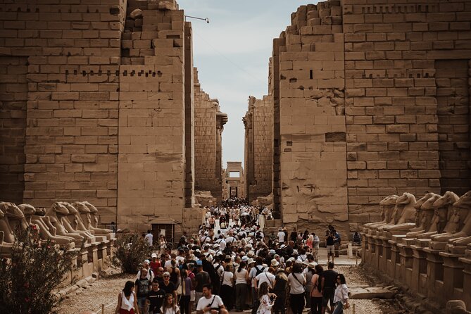 Private Transfer From El Cairo to Luxor - Frequently Asked Questions