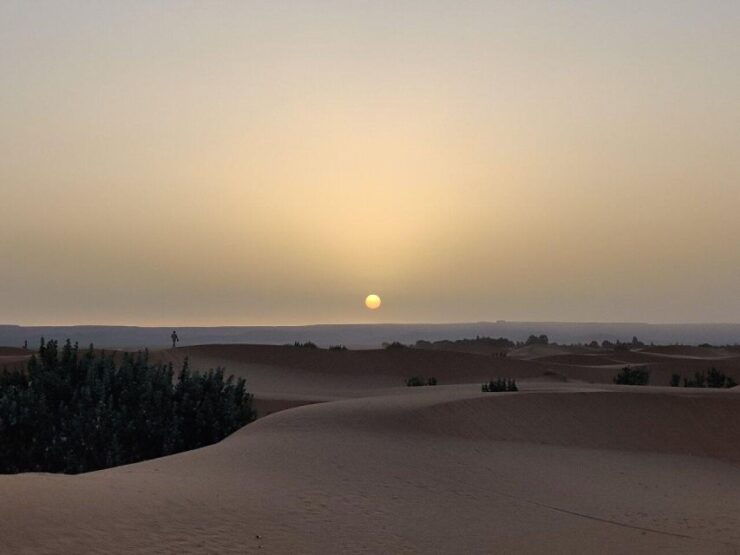Private Transfer From Errachidia To Merzouga Desert & Erfoud - Activity Details