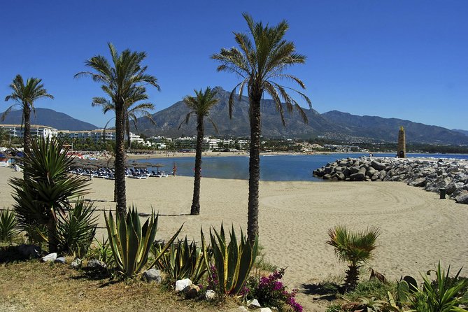 Private Transfer From Ferreirola to Malaga (Agp) Airport - Group Size and Customization Options