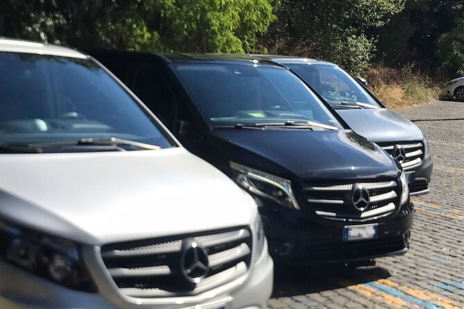 Private Transfer From Fiumicino Airport to Rome - Booking Details