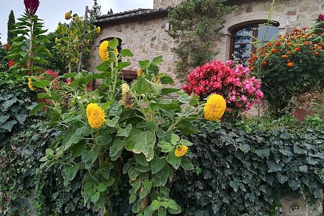 PRIVATE TRANSFER From Florence to Rome With Stops in Orvieto & Civita Bagnoregio - Cancellation Policy