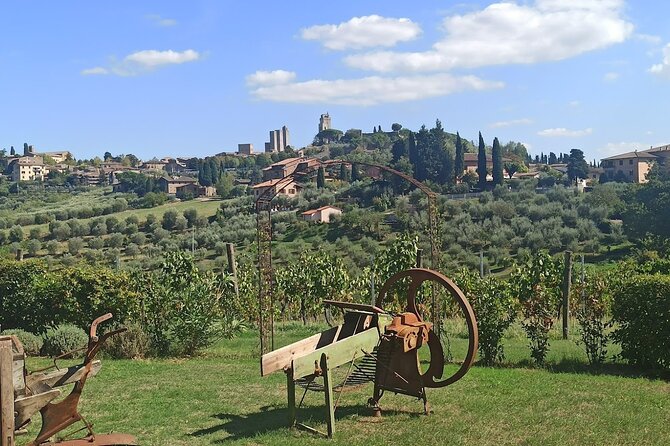 PRIVATE TRANSFER From Florence to Siena With Stop in S Gimignano & Monteriggioni - Reviews and Testimonials