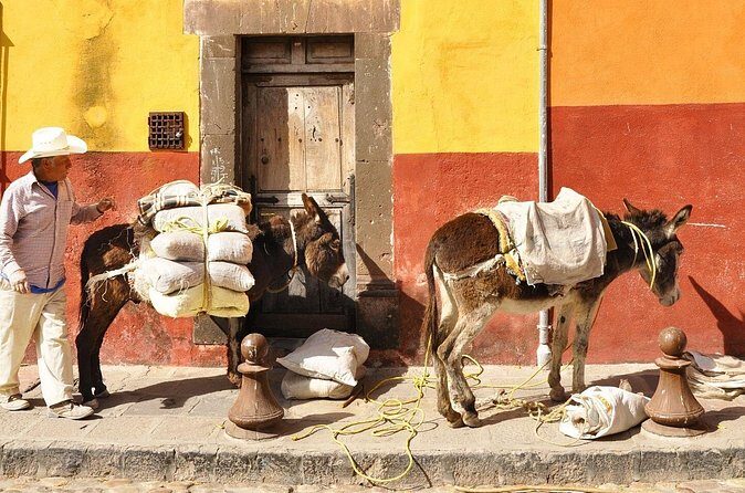 Private Transfer from Guanajuato City to San Miguel de Allende - Final Thoughts: Is This Transfer Right for You?