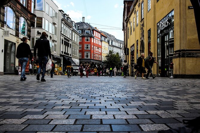 Private Transfer From Hamburg to Copenhagen 2 Hour Stop in Odense - Overview and Inclusions