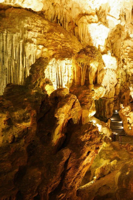 Private Transfer From Hanoi for Small Group Halong Day Tour - Highlights and Experience
