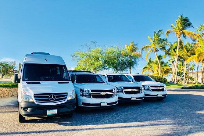 Private Transfer from Hilo Cruise Port to Kona Airport (KOA) - A Practical Guide to Your Big Island Transfer Experience