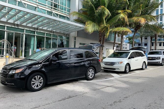 Private Transfer From Kingstown Cruise Port to Kingstown Hotels - Service Details