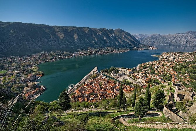 Private Transfer From Kotor to Tivat Airport - Reviews
