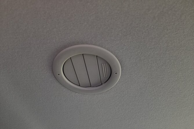 Private Transfer From Lisbon to Algarve By 8 Seats Minibus - Accessibility Information