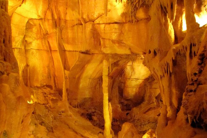 Private Transfer From Lisbon to Porto With Sightseeing Tour - Touristic Points and Stops