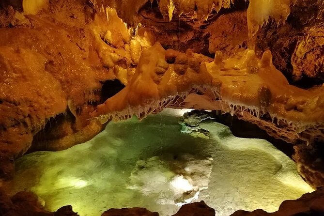 Private Transfer From Lisbon to Porto With Sightseeing Tour - Positive Traveler Reviews