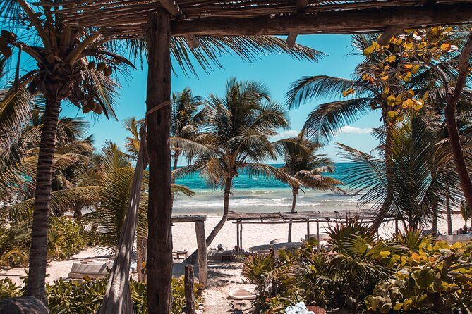 Private Transfer from Mahahual to Tulum with Sightseeing - Good To Know  