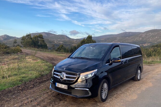 Private Transfer From Malaga Airport (Agp) to Granada City - Participation Requirements and Private Experience