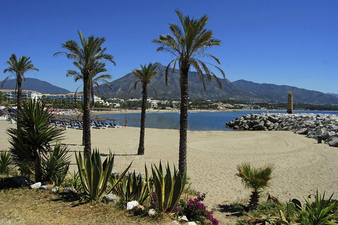 Private Transfer From Malaga Airport (Agp) to Zafarraya - Meeting and Pickup