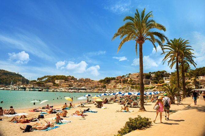 Private Transfer From Mallorca Airport (Pmi) to Peguera - Questions and Help