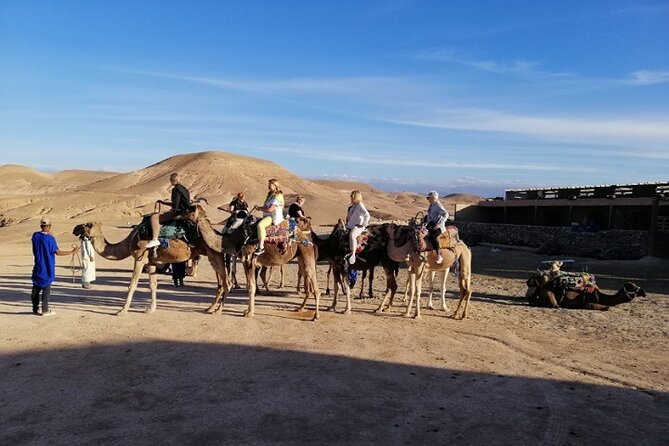 Private Transfer From Marrakech Hotels, Riads to Agafay Desert - Vehicle and Driver Details