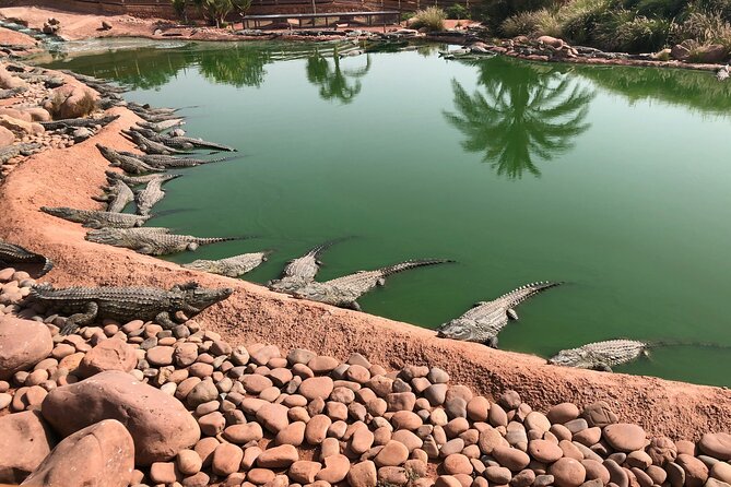 Private Transfer From Marrakech To Agadir Or Agadir To Marrakech - Pricing and Guarantee