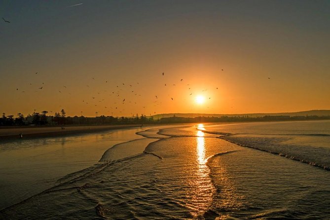 Private Transfer From Marrakech to Essaouira - Traveler Photos and Reviews