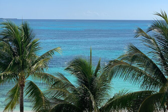 Private Transfer From Mazatlan to Puerto Vallarta, English Speaking Driver - Frequently Asked Questions