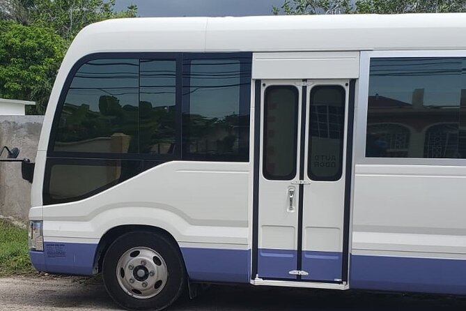 Private Transfer From MBJ Airport to Grand Palladium - Service Overview