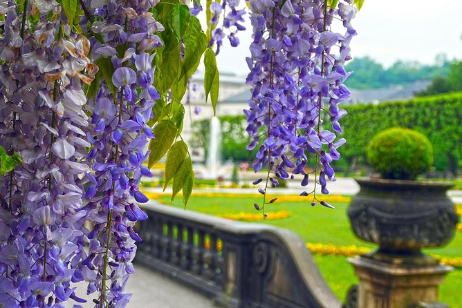 Private Transfer From Munich to Salzburg, English-Speaking Driver - Reviews and Overall Rating