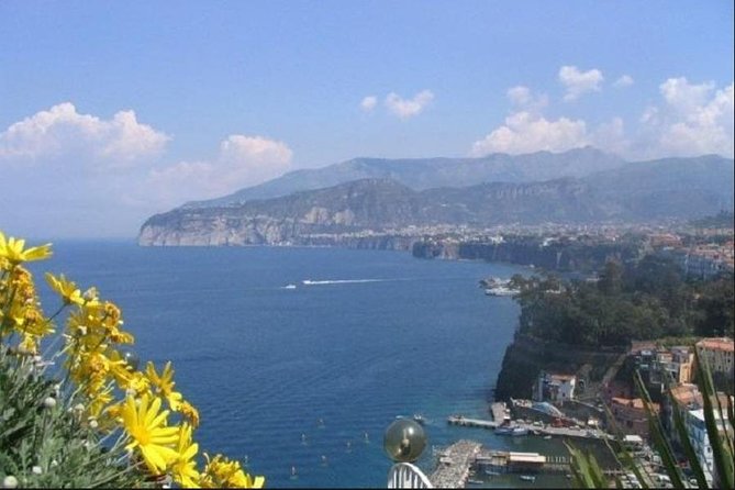 Private Transfer: From Naples (Hotel-Airport-Train Station) to Sorrento (Hotel) - Common Questions
