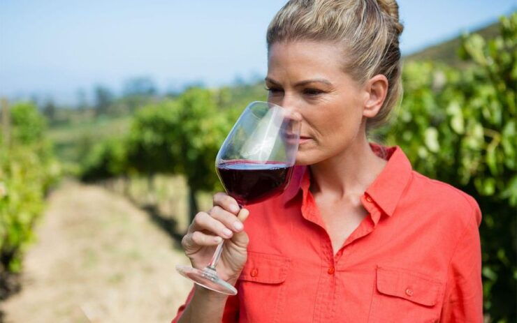 Private Transfer From Naples to Positano Stop at the Winery - Transfer Details